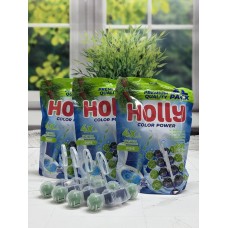 Шарики для унітазу HOLLI 4шт Хвоя